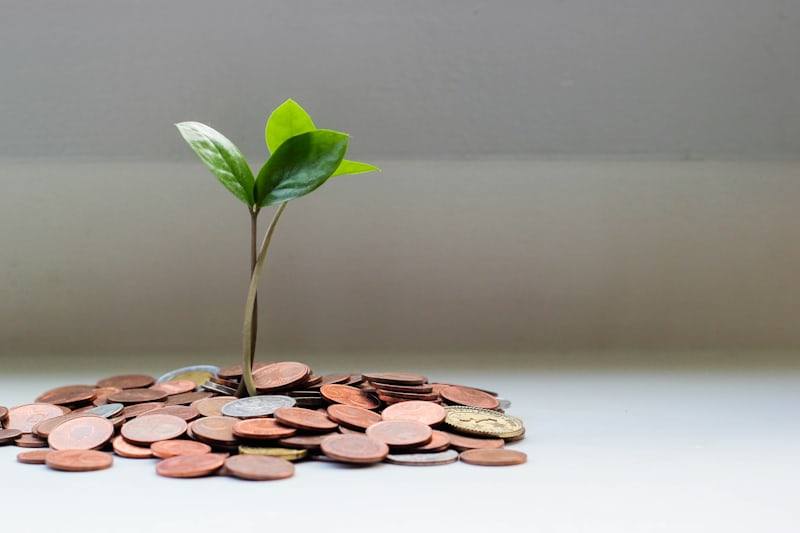 Tumbuhan kecil tumbuh dari tumpukan koin melambangkan cashback